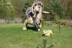 Park-Dinozaurów-Jurowce-koło-Białegostoku-2009-Magia-Polski-25
