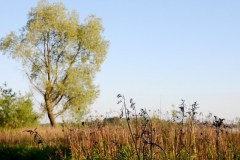 Spacer-na-rzeką-Wisła-2015-Magia-Polski-34