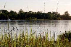 Spacer-na-rzeką-Wisła-2015-Magia-Polski-39