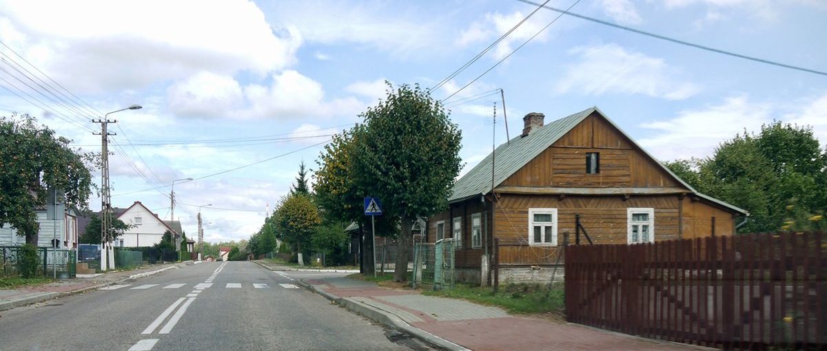 Białowieża 2014